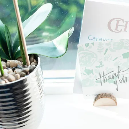 Caravogue House بيت ضيافة 4*